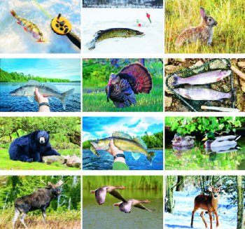 (image for) Hunting & Fishing 14 Month Full-size Wall Calendar - #4300U