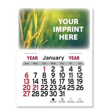 (image for) Peel-n-Stick® Magnet Calendar #1025M  NEW THIS YEAR! 