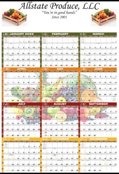 (image for) Year-in-View® Full Color Production Planner - #8393C