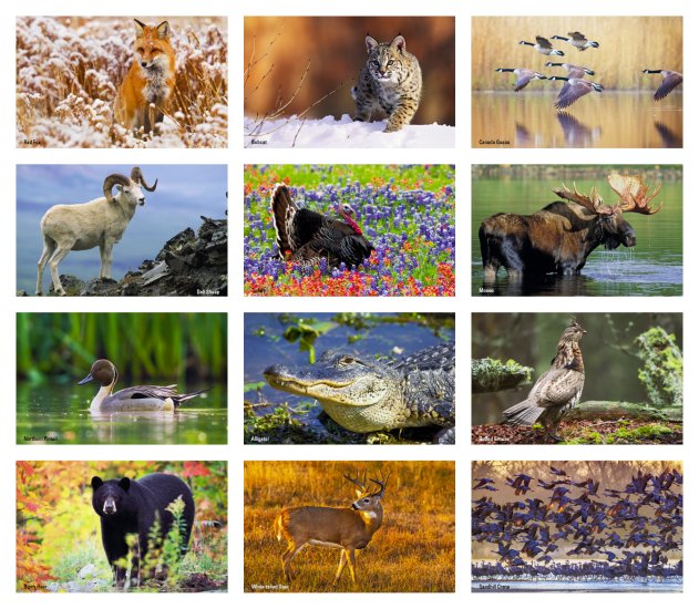 (image for) Sportsman's Press-N-Stick- #V8896