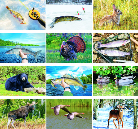 (image for) Hunting & Fishing 14 Month Full-size Wall Calendar - #4300U